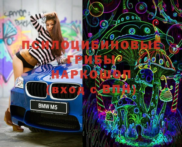 дживик Медногорск