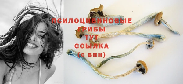 марки lsd Мегион