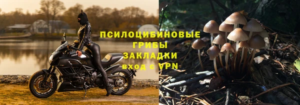 спиды Мамадыш